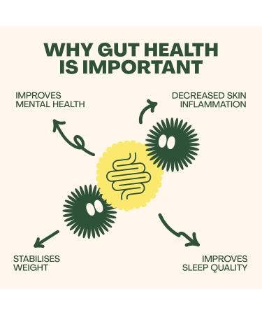 Living Things Prebiotic Soda - Gut Health Drink - Low Calorie High Fiber Lemon & Ginger - 12x330ml Cans - Buy Online on GoSupps.com