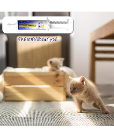 Cat Hairball Paste | Cat Nutritional Gel Anti Hairball Control Supplement Natural and Effective Hairball Gel for Healthy Tissue Kitten and Cats 60ml - Buy Online on GoSupps.com