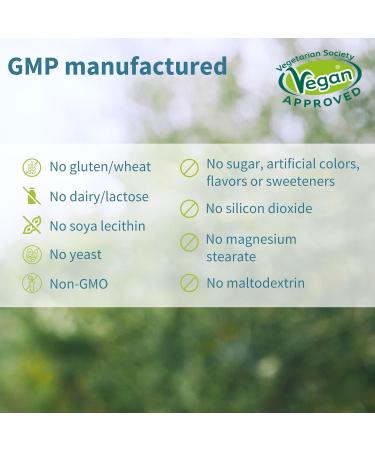 Live Cultures+ Lab4 Probiotics + Super B12-Complex Vegan Bundle 25 Billion CFU Lactobacillus Acidophilus and Bifidobacterium + High Absorption Sublingual B12 by Igennus - Buy Online on GoSupps.com