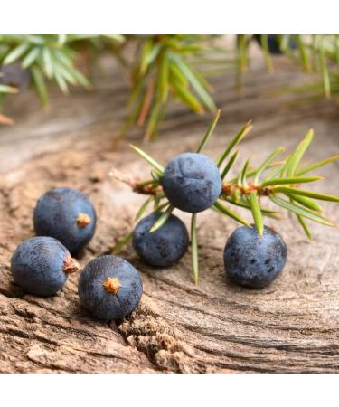 Organic Dried Juniper Berries (500g) Organic Grown Whole Juniper Berries Unsweetened 100% Natural and Pure Vegan - Buy Online on GoSupps.com