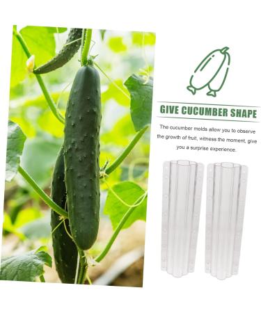 Yardwe 8 Pcs Vegetable Shaping Mold Fruit Vegetable Shaper Mold Garden Cucumber Mold Watermelon Suite - Buy Online on GoSupps.com