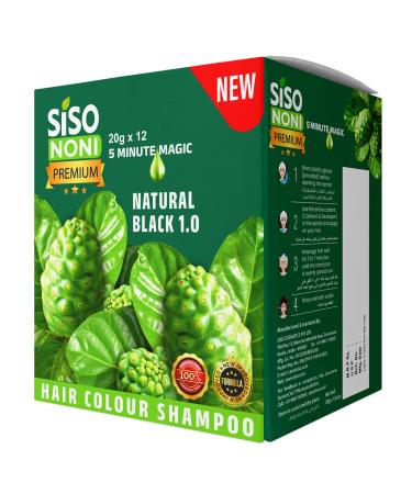 Siso Premium Noni Black Hair colour shampoo 20g | Ammonia Free hair color for women| Natural Black Permanent Hair Dye Shampoo for men | Noni Fruit Hair Dye | 5 Minutes Hair Colour (Pack of 12)