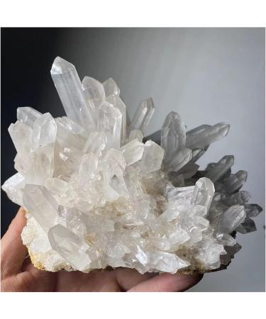 1pc Natural Rare White Quartz Crystal Cluster Specimen Decoration (Size : 80-100g) - Buy Online on GoSupps.com