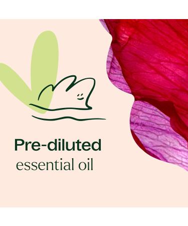 Plant Therapy Rose Absolute Pre-Diluted Essential Oil Perfume Roll-On 10 mL (1/3 oz) 100% Pure Natural Aromatherapy Therapeutic Grade - Buy Online on GoSupps.com