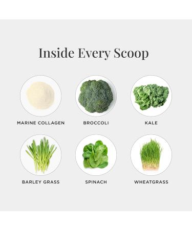 JSHealth Super Greens Powder - Greens & Collagen Powder - Superfood Powder with Marine Collagen Peptides Vitamins & Veggies 30 Servings - Buy Online on GoSupps.com