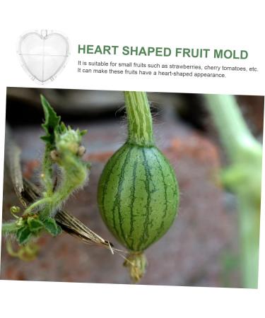SUPVOX Fruit Forming Heart Shaped Watermelon Molds Fruit Watermelon Mould Vegetable Cucumber Shaper - Buy Online on GoSupps.com