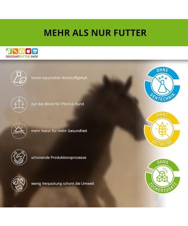 ESTELLA Chasteberry Juice for Horses - 1L | Hormone Balance Cushing & PPID Support | Herbal Ingredients - Buy Online on GoSupps.com