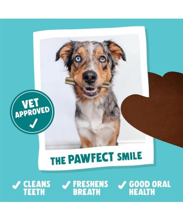 Denzel's Dog Dental Sticks - for Medium Dogs - Chicken & Peppermint (Pack of 28) Chicken & Peppermint 1 count (Pack of 28) - Buy Online on GoSupps.com