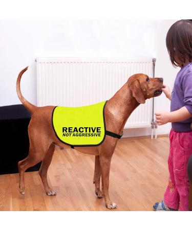 CENWA Reactive Dog Jacket Vest Dog Reactive Dog Training/Reactive Not Aggressive Service Dog Slogan Warning Vest (Reactive Not Aggressive L EU) - Buy Online on GoSupps.com
