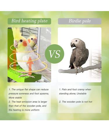 GIFANK Bird Heater for Cage | Warmer Stand for Parrots & Small Birds - 12V 3.3 x 6 inches - Buy Online on GoSupps.com