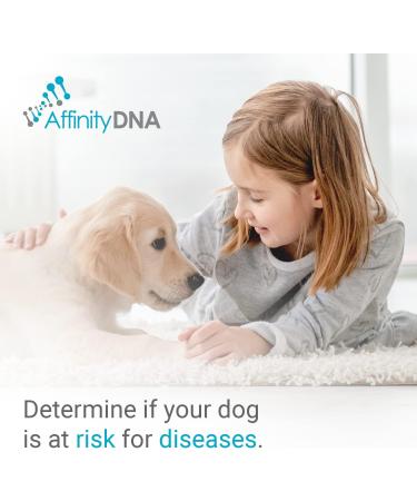 AffinityDNA Dog PRA-prcd DNA Test Kit | Home Sample Collection | Results in 7 Days - Buy Online on GoSupps.com