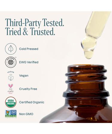 Cliganic Organic Apricot Oil 100% Pure (16oz) - For Skin Hair & Face | Natural Cold Pressed Unrefined 16 Fl Oz (Pack of 1) - Buy Online on GoSupps.com