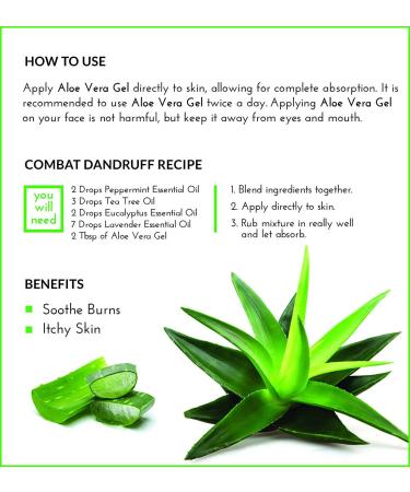ArtNaturals Aloe Vera Gel 100% Pure Cold Pressed - 2 Pack x 12oz - Raw Natural Moisturizer for Skin, Hand, Face & Hair - Buy Online on GoSupps.com