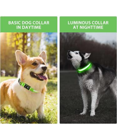 LED Light Up Dog Collar - USB Rechargeable, Waterproof, Adjustable - Green - M(38-50cm/15-19.7inch) - Buy Online on GoSupps.com