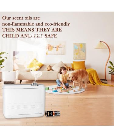 Hotel Scents Elegant Charisma 10ML - Luxurious Cedarwood & Sandalwood Diffuser Oil Inspired by Shangri-La | Premium Aromatherapy Fragrance for Home - Buy Online on GoSupps.com