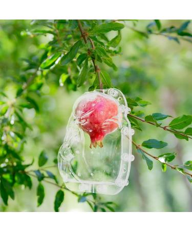 GANAZONO 2pcs Fruit Shaping Mold Fruit Shaping Tool Fruit Forming Mould Fruits Mold Stereotypes Ginseng Fruit - Buy Online on GoSupps.com