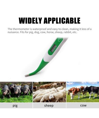 Bedler Digital Pet Thermometer LED Display Fast Reading Waterproof for Dog Horse Cat Pig Sheep Animal - Buy Online on GoSupps.com