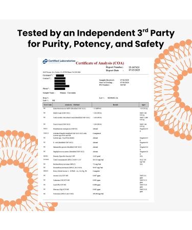 Manna Vitamins Evolved Liposomal Liquid Curcumin for Advanced Absorption Best Turmeric Supplement for Daily Joint & Immune Health Support - Vegan Non-GMO 95% Curcuminoids (1 Pack) Tangy Tangerine 7.6 Fl Oz (Pack of 1) - Buy Online on GoSupps.com