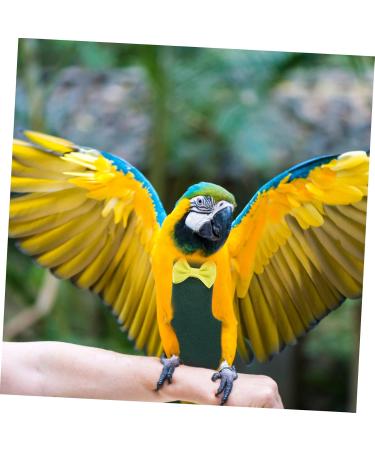 MipCase 5ST Flying Bird Diapers | Birdywear for Parrots & Chickens | Soft Flight Suits for Small Birds | 5pcs Xuanfeng Cotton Clothing (12x6cm) - Buy Online on GoSupps.com