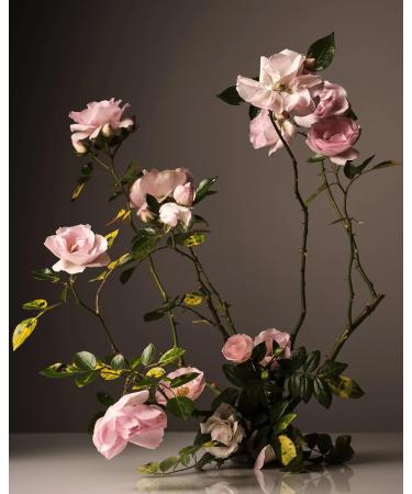 Homecourt Surface Cleaner Spray - All-Purpose Clean Formula (16 fl oz) | Steeped Rose - Shop Internationally - Buy Online on GoSupps.com