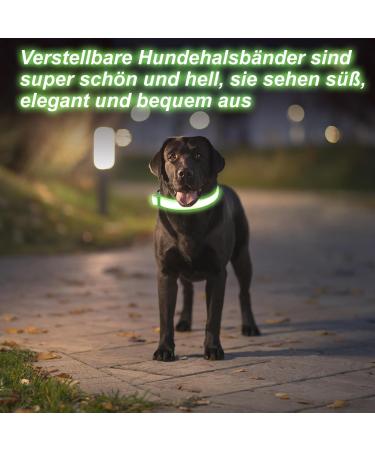 Jostift Luminous Elbe Rechargeable LED Dog Collar - Waterproof & Adjustable for Small/Medium Dogs - Super Bright with 3 Lighting Modes (Green) - Buy Online on GoSupps.com