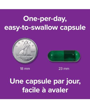 Webber Naturals Women's 50+ Most Complete Multi 90 Vegetarian Capsules - Buy Online on GoSupps.com