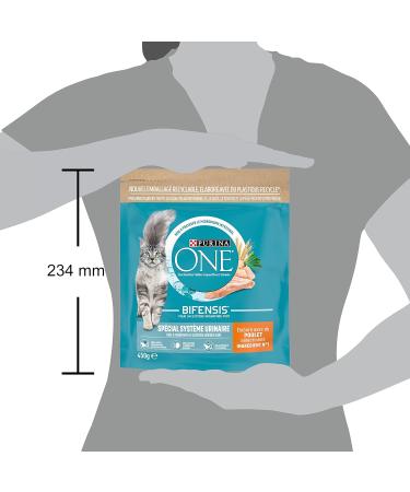 PURINA ONE Bifensis Urinary System Chicken and Wheat Dry Food for Adult Cats 450 g Meal Bag | Pack of 10 - Buy Online on GoSupps.com