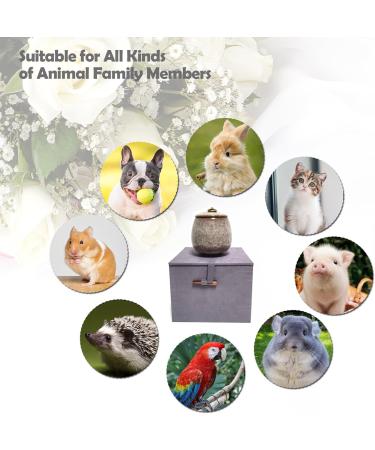 Mini Urns for Ashes Handicrafted Ceramic Ashes Urns for Dog Cat Small Pets Ashes Keepsake Memorial Gift Ashes Holder with Exquisite Box-Beige - Buy Online on GoSupps.com