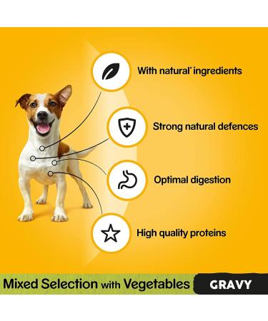 Pedigree Mixed Selection in Gravy 40 Pouches Adult Wet Dog Food Megapack (40 x 100 g) Adult Mixed Selection in Gravy 100 g (Pack of 40) - Buy Online on GoSupps.com