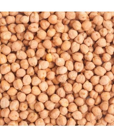 Organic Chickpeas 3kg - GMO Free, Vegan, High Fibre, High Protein - Wholefood Earth - Buy Online on GoSupps.com