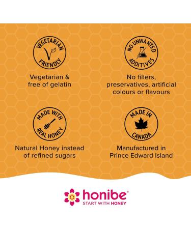 Honibe Melatonin Sleep Support Gummies | Honey-Based Gummies Made in Canada | Nighttime Sleep Aid | Natural Sleep Aid to Help Relieve Stress | Melatonin Gummies to Help Support a Healthy Sleep Aid | Sleep Gummies | 70 gummies Nutritional Supplement - Buy Online on GoSupps.com