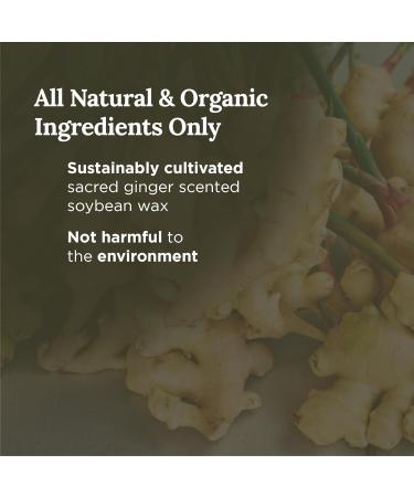 Magnificent 101 Ginger Scented Candle | 6 Oz Soy Wax | 35 Hour Burn for Energy Cleansing & Manifestation | Boost Passion & Prosperity - Buy Online on GoSupps.com