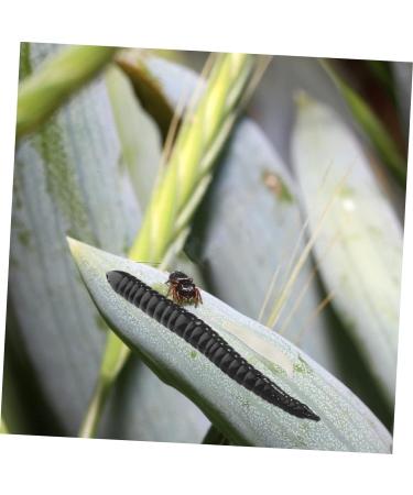 Abaodam 200 Pcs Simulated Maggot Prank Joke Toys Game Tossing Toys Live Wax Worms Party Toys April Fools Day Tricks Disgusting Maggot Models Party Prank Props Fake Soft Rubber Plastic - Buy Online on GoSupps.com