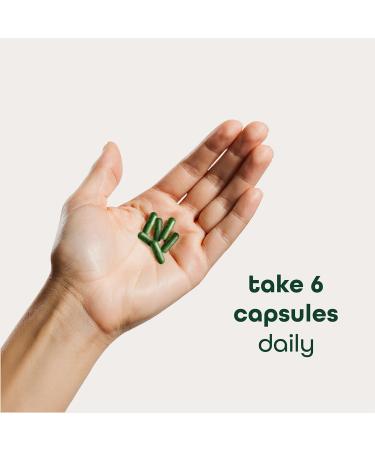 Zena Nutrition Organic Super Greens Fruit & Veggies Supplement 70+ Superfoods from Fruit & Vegetables Spirulina Chlorella Prebiotics & Probiotics Digestive Enzymes for Gut Health 180 Capsules Unflavoured Capsules - Buy Online on GoSupps.com