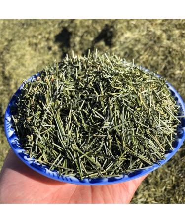 Fujian Friday Pine Needle TeaDried And WildHerbal Tea200G - Buy Online on GoSupps.com