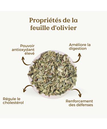 FEUILLE D'OLIVIER BIO 100g | Tisane de Feuilles d'olivier | Olivier Feuilles Coup es REPLANTEA - Buy Online on GoSupps.com