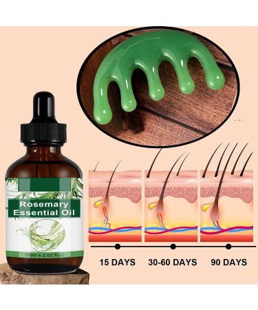 Compra Aceite de Romero para Crecimiento del Cabello y Cuidado de la Piel - Masajeador y Aceite de Ricino para Cejas y Pesta as - 60ML - Env o Internacional - Buy Online on GoSupps.com