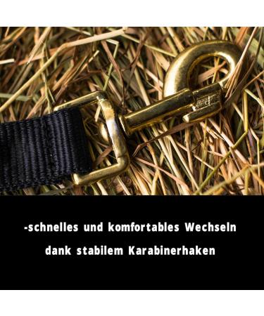 Adjustable Black Halter for Warm Bloods & Thoroughbreds | Safe Tear-Resistant Stable & Pasture Use - Buy Online on GoSupps.com