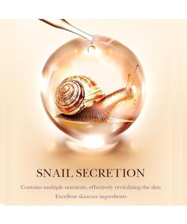 Gold Snail BB Cream - 9-in-1 Multifunctional Makeup SPF 50+ | Moisturizing Brightening & Waterproof Concealer - Buy Online on GoSupps.com