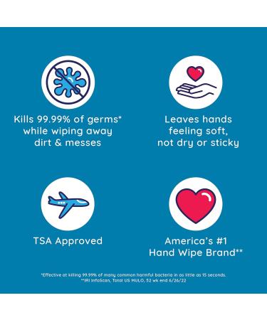 Wet Ones Antibacterial Hand Wipes Fresh Scent 40 ct. Canister (6 pack) - Buy Online on GoSupps.com