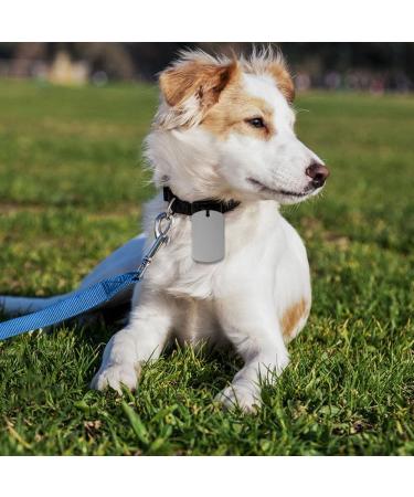 72-Pack Pet Metal Name Shields Round Square & Heart Pendants for Dogs & Cats | Custom Name Tags - Buy Online on GoSupps.com