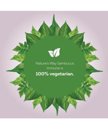 Nature's Way Sambucus Cold and Flu Care Immune with Vitamin C and Zinc Elderberry Syrup with Echinacea and Propolis Used in Herbal Medicine for Symptom Relief for Kids 2+ and Adults 120 ml - Buy Online on GoSupps.com