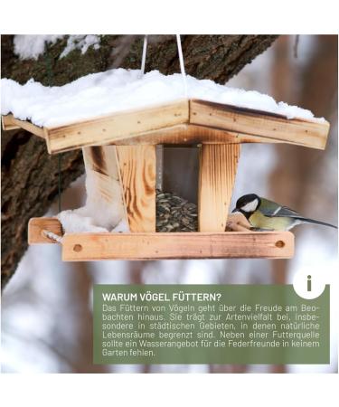 Wild Animal Love Forage Shovel | Easy Bird Feed Dispenser Filling & Silo Accessory - Buy Online on GoSupps.com
