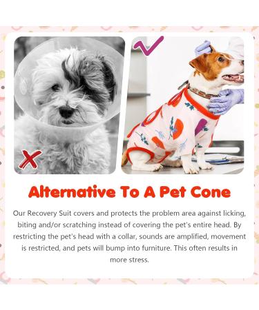 Hjyokuso Recovery Suit for Dogs & Cats | Post-Surgery Relaxation for Abdominal Wounds - XS Vegetable Design - Buy Online on GoSupps.com