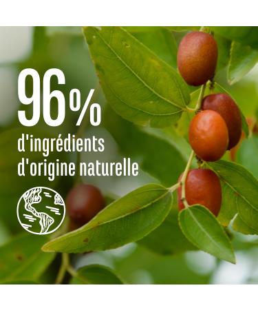  Le Petit Marseillais Le Petit Marseillais 4-in-1 Expert Repair Mask with Organic Jojoba Oil (370ml Jar) Hair Mask for Brittle Hair Silicone-Free Hair Care 96% Natural Origin - Buy Online on GoSupps.com