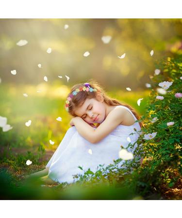 TSHAOUN 3 Multicolor Daisy Flower Headband Multi Colour Daisy Chain Elasticated Headband Fashion Floral Headbands Festival Hair Accessories for Festival Party Favor Wedding Party (3 Multicolor) - Buy Online on GoSupps.com