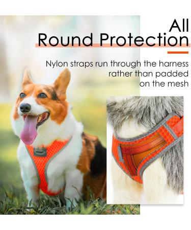 ThinkPet No-Pull Dog Harness & Leash Set - Breathable Adjustable Safe Control for Small Medium & Large Dogs - Reflective Padded Orange (1 Pack) - Buy Online on GoSupps.com