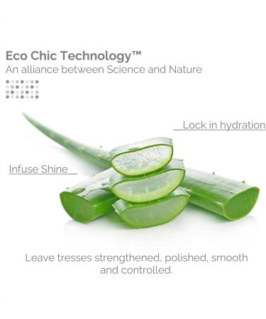 GIOVANNI Eco Chic Smooth as Silk Deep Moisture Shampoo - 8.5 oz | Vegan Moisturizing & Sulfate-Free - Buy Internationally - Buy Online on GoSupps.com