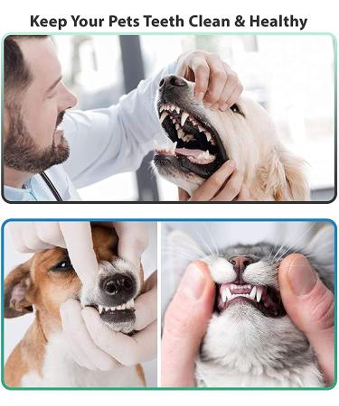 YsCare Double Head Tartar Remover Set - Professional Dog Tooth Cleaner & Dental Care Tools | Stainless Steel Pet-Friendly - Buy Online on GoSupps.com