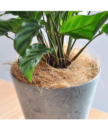 Luoji Bird Nesting Material Natural Coconut Fiber Comfortable Bedding For Small Birds And Animals Great For Nest Building And Hideouts - 100g - Buy Online on GoSupps.com